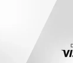 Virtual Visa - 12 Month Expiration CA