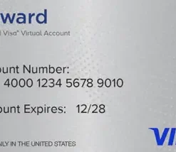 Visa® Reward Virtual Account 12 Month Expiration US gift card