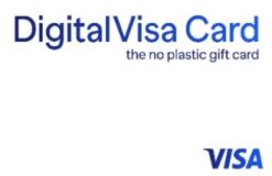 Visa Digital