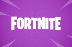 Fortnite Wallet Cards USD