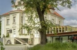 Hotel Platinum Palace****