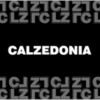 Calzedonia | Qanz
