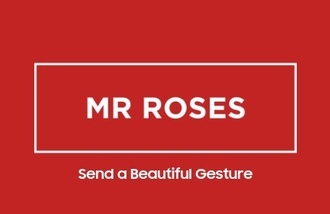 Mr Roses
