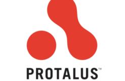 Protalus