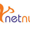 netnut