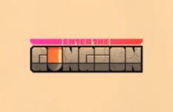 Enter the Gungeon