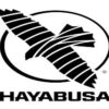 Hayabusa Fight