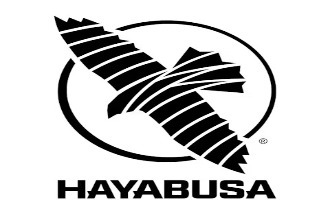 Hayabusa Fight