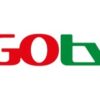 GOTV