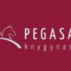 Pegasas