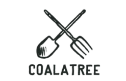Coalatree