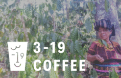 319coffee.com