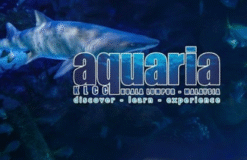 Aquaria KLCC