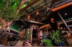 Alam Beauty and Wellness Spa