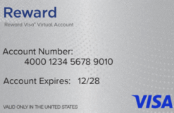 Visa® Reward Virtual Account 12 Month Expiration US