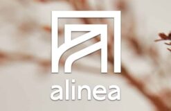 Alinea