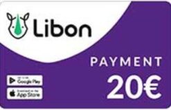 Libon Payment