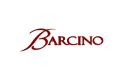 Barcino