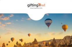 Gifting Owl