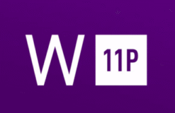 Windows 11 Professional