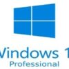 Windows 10 Professional