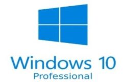 Windows 10 Professional