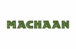 Machaan