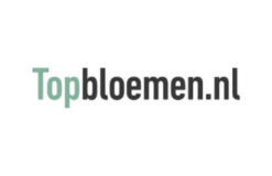 Topbloemen
