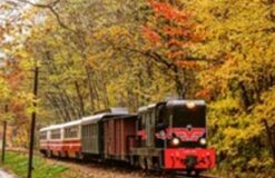 Piaseczyńsko - Grójecka Kolej Wąskotorowa