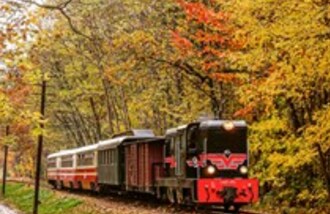 Piaseczyńsko - Grójecka Kolej Wąskotorowa