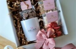 Delisis Siostry Rejmak