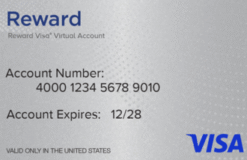 Visa® Reward Virtual Account, 6 Month Expiration US