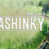 Mashinky
