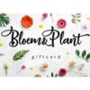 Bloem&Plant