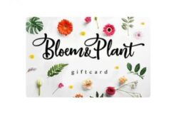 Bloem&Plant