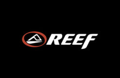 Reef