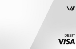 Virtual Visa - 6 Month Expiration CA