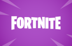 Fortnite Wallet Cards USD