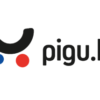 pigu.lt