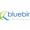 Bluebird Botanicals
