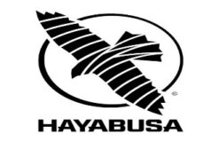 Hayabusa Fight