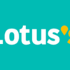 Lotus's