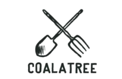 Coalatree