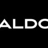 ALDO Accessories
