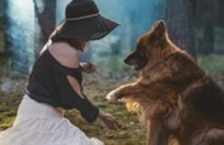 Pola Stelmachowska Studio