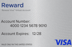 Visa® Reward Virtual Account 12 Month Expiration US