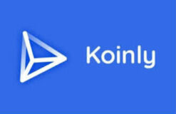 Koinly