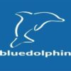 Blue Dolphin Magazines