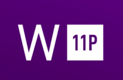 Windows 11 Professional