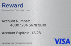 Visa® Reward Virtual Account, 6 Month Expiration US